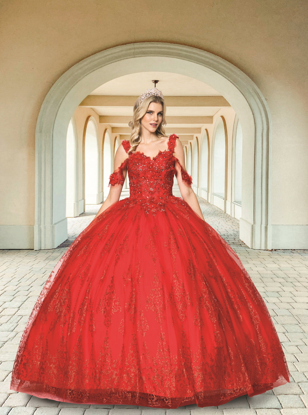 (LIVE 39) Elegant Quinceanera Dress with Tulle & Embroidery for Special Occasions - Beautiful & Versatile Design