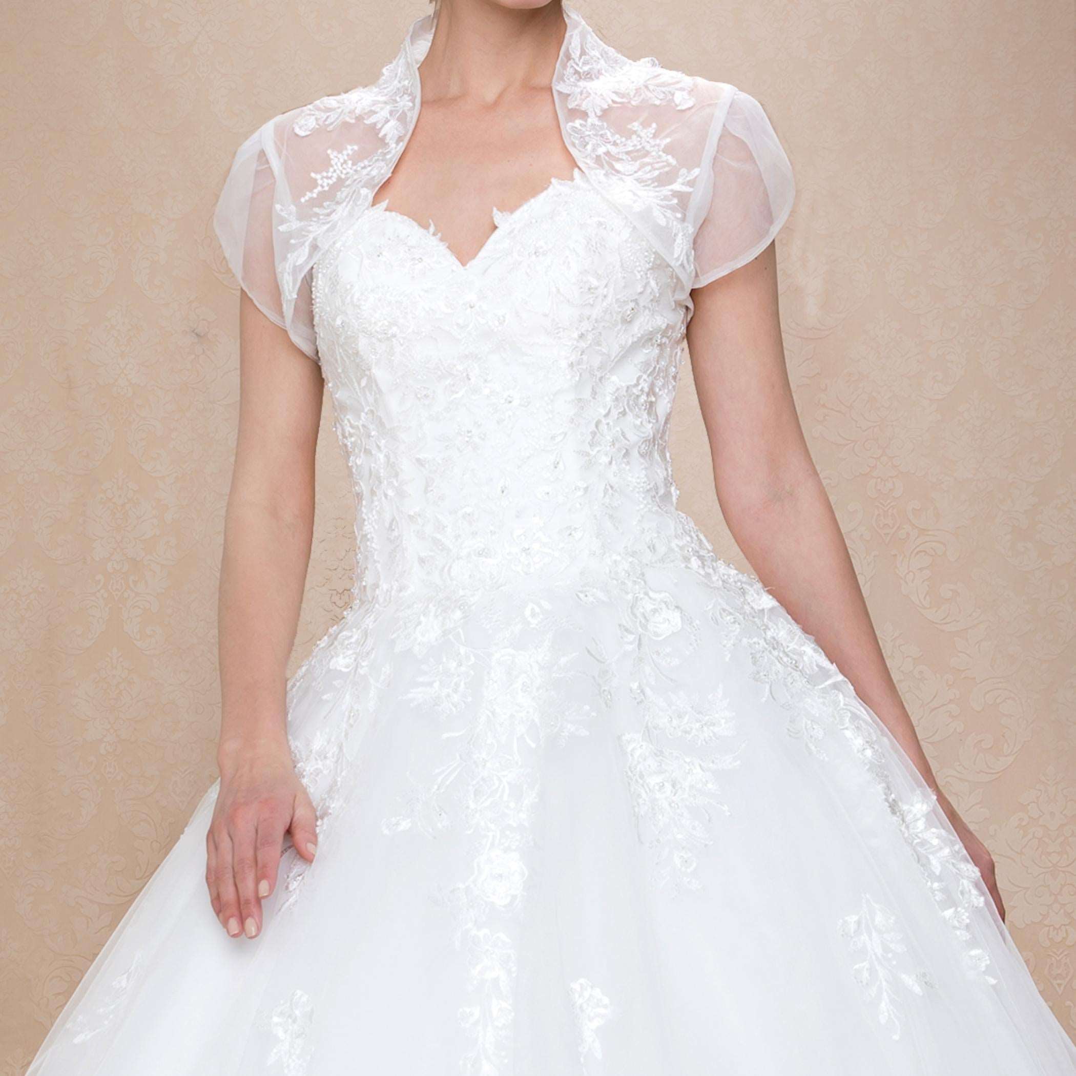 Exclusive gowns, silky luxury, stylish journey.