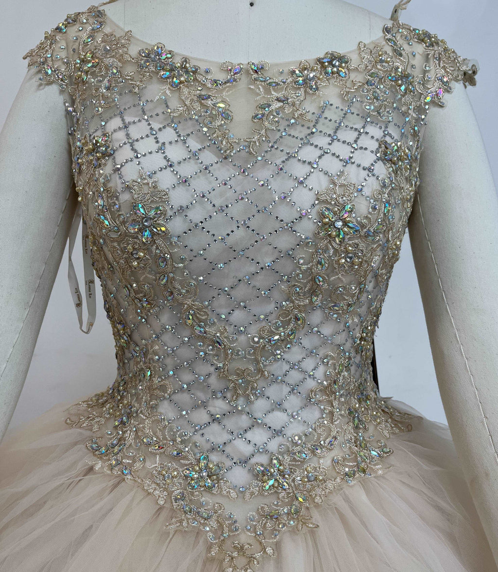 Fine gowns, 3D embroidery, weave dreamy tales.